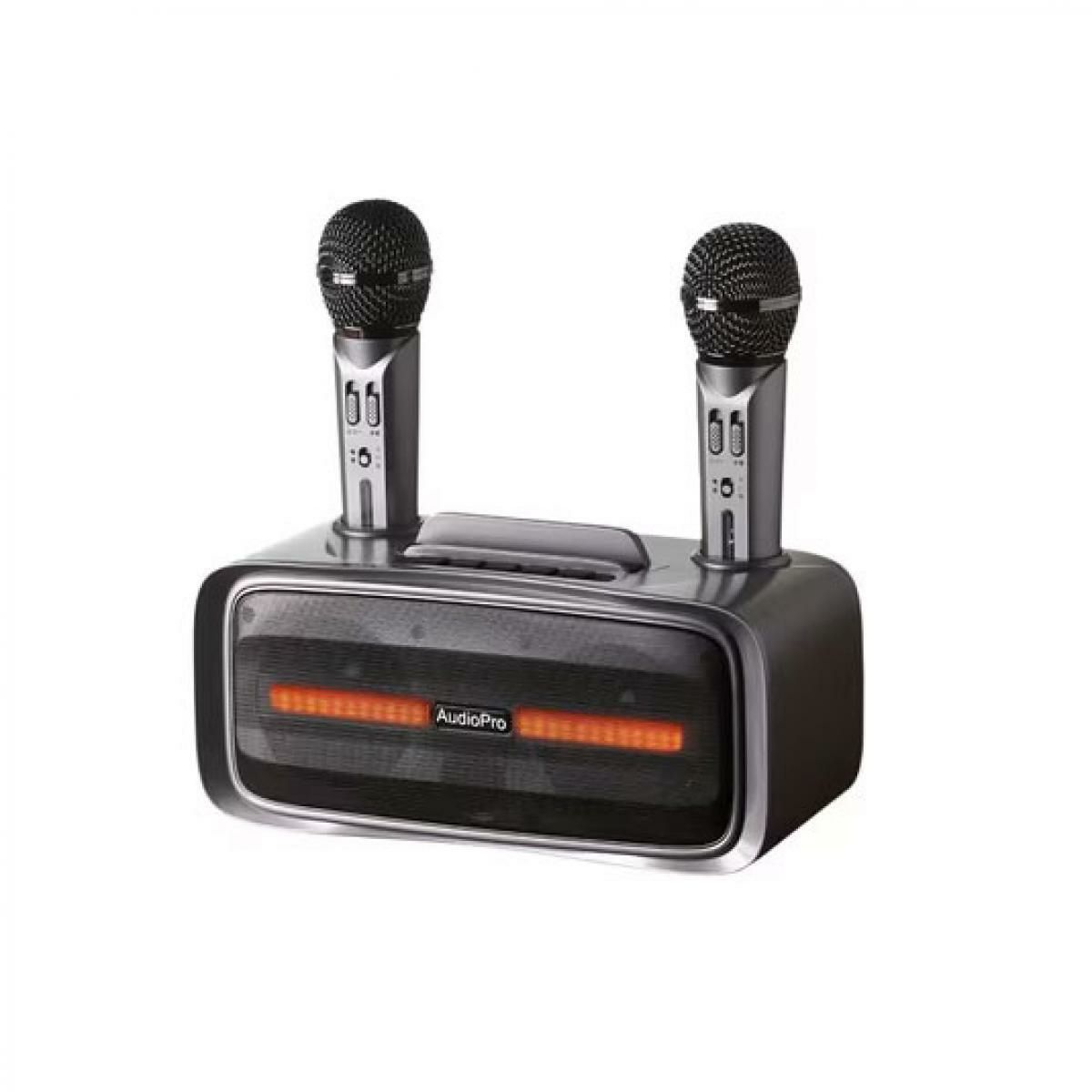 オーディオ プロ 手元スピーカー カラオケマイクセット ST-2028BT 自宅