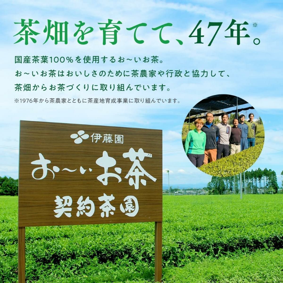 伊藤園 お～いお茶 緑茶 缶 245g×30本(1ケース) 日本茶飲料 国産茶葉