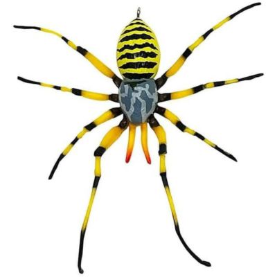 自在置物標本箱 ジョロウグモ
