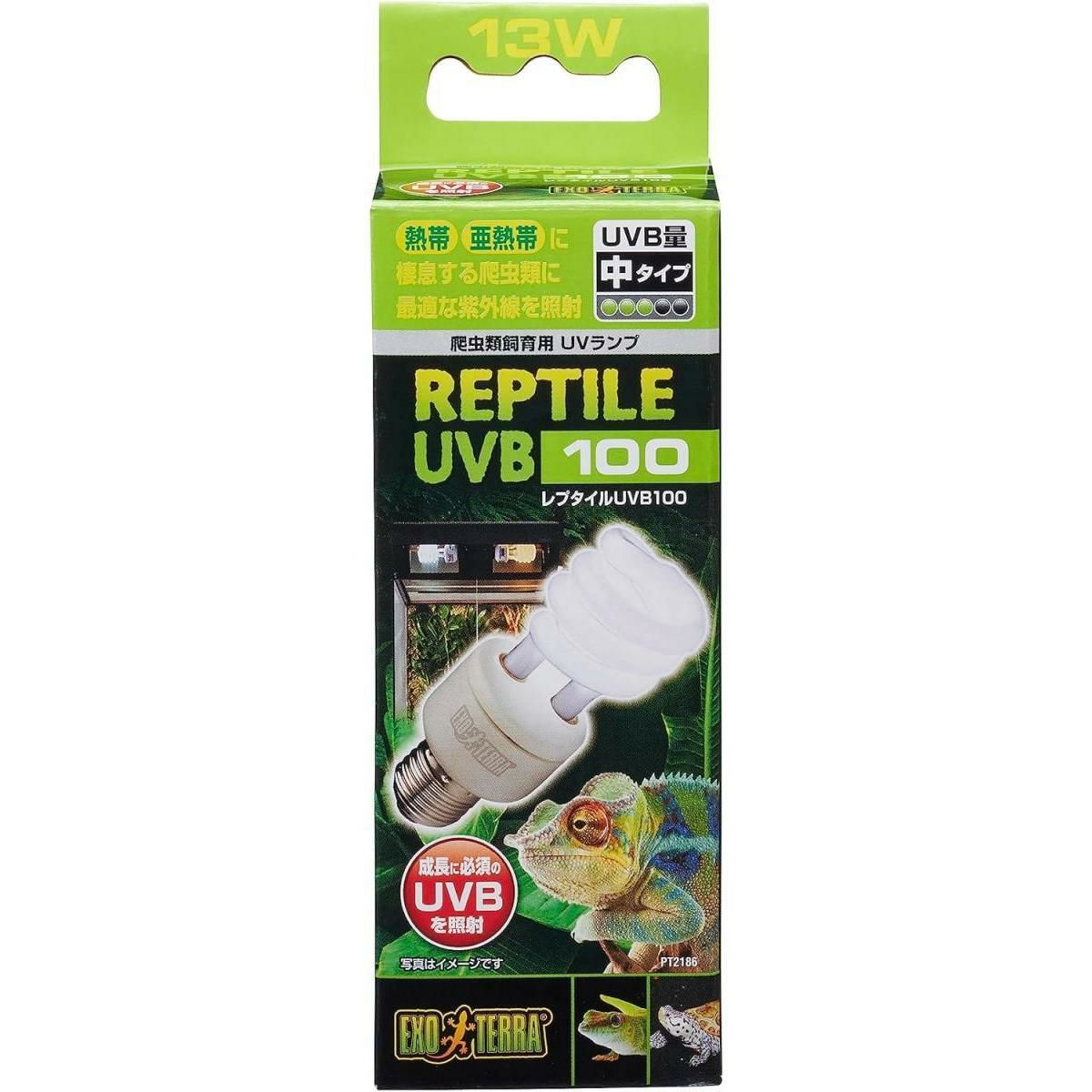 熱帯魚・アクアリウム用品 | DAIYU8 ONLINE SHOP