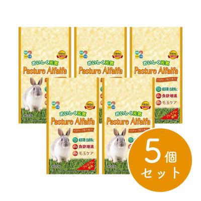 在庫有・即納】ハイペット パスチャーオーツヘイ 400g×12個
