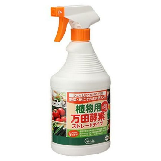 きたーー‼️超絶SP超高糖度！万田酵素クィーンスプラッシュ甘平9000円 きたーー‼️超絶SP超高糖度！万田酵素クィーンスプラッシュ甘平9000円3