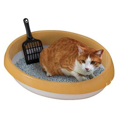 ねこ アイリスオーヤマ 猫砂 クリーンサンド 無香料 5L