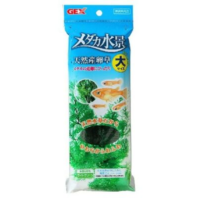 メタカ　100 GEX(ジェックス) メダカ元気 メダカのための飼育鉢白370 メダカ