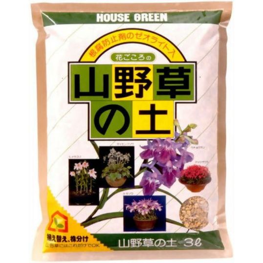 アトリエ天山堂 薬用植物 トリコディアデマ ブルボスム 