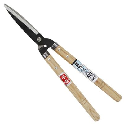 ELPA LEDナツメ球 口金直径12mm クリア昼白色 LDT1CN-G-E12-G105
